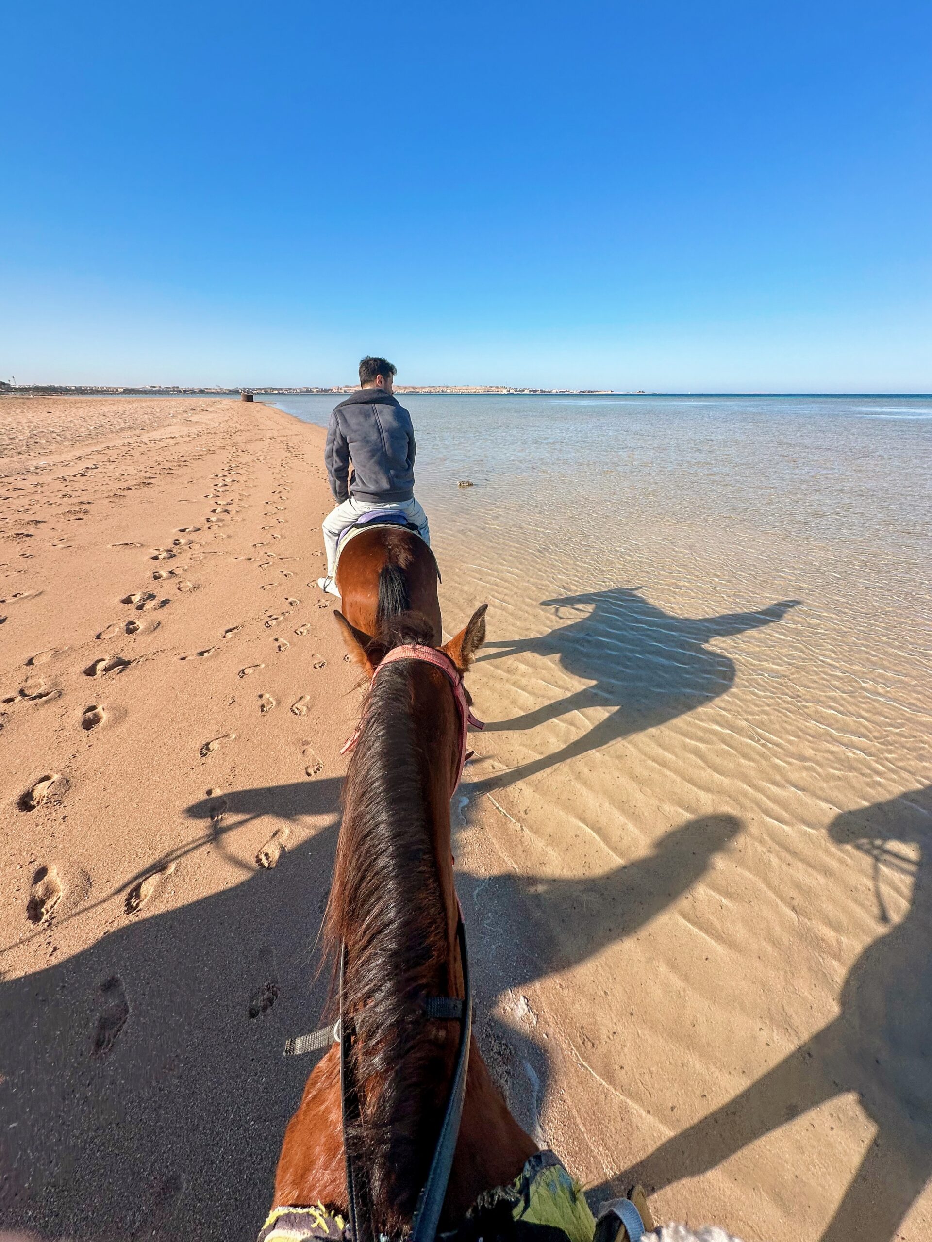 hurghada atlı safari turu